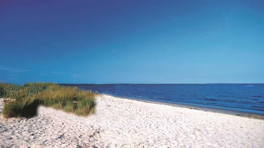 Witte Huus 75M_ Und 51M_ Ferienwoh Apartment Хоокзил Екстериор снимка